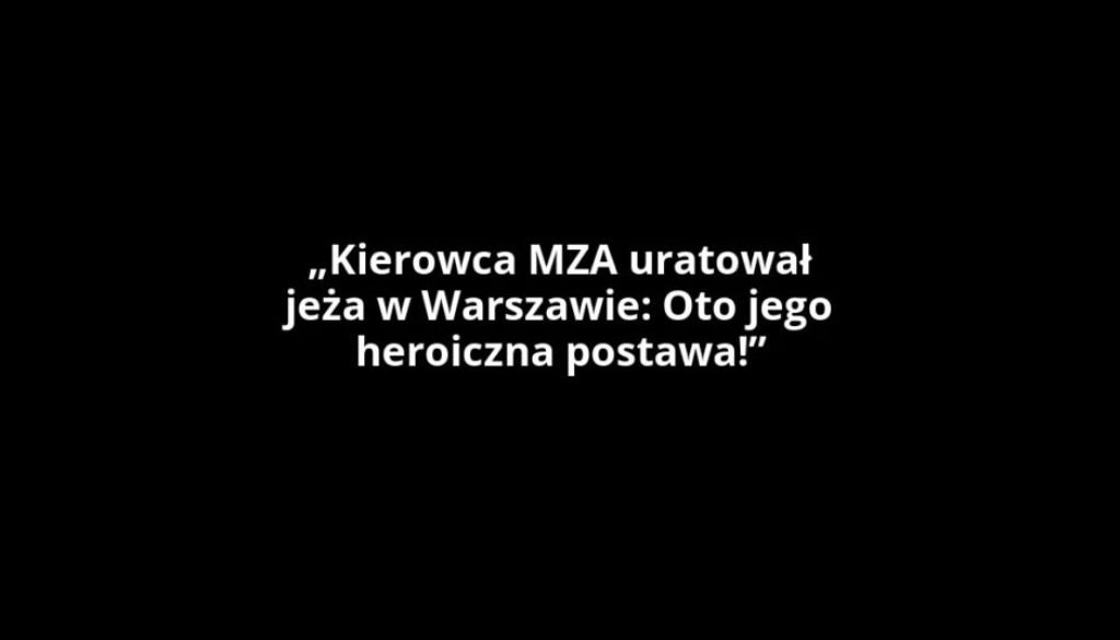 „Kierowca MZA uratował jeża w Warszawie: Oto jego heroiczna postawa!”