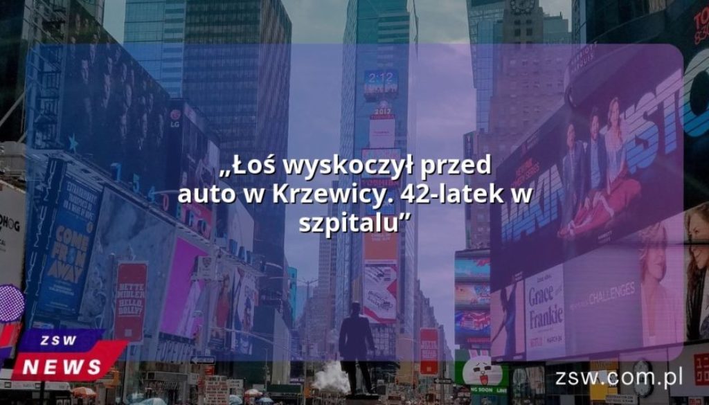 „Łoś wyskoczył przed auto w Krzewicy. 42-latek w szpitalu”