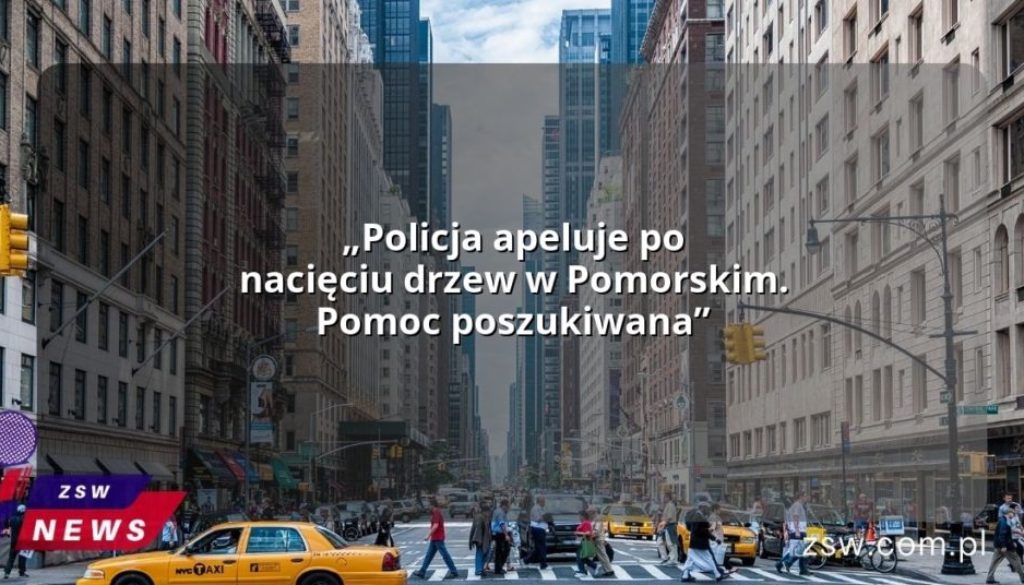 „Policja apeluje po nacięciu drzew w Pomorskim. Pomoc poszukiwana”