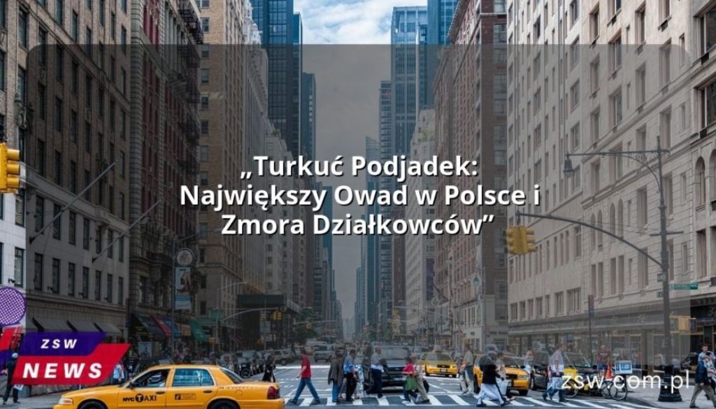 „Turkuć Podjadek: Największy Owad w Polsce i Zmora Działkowców”