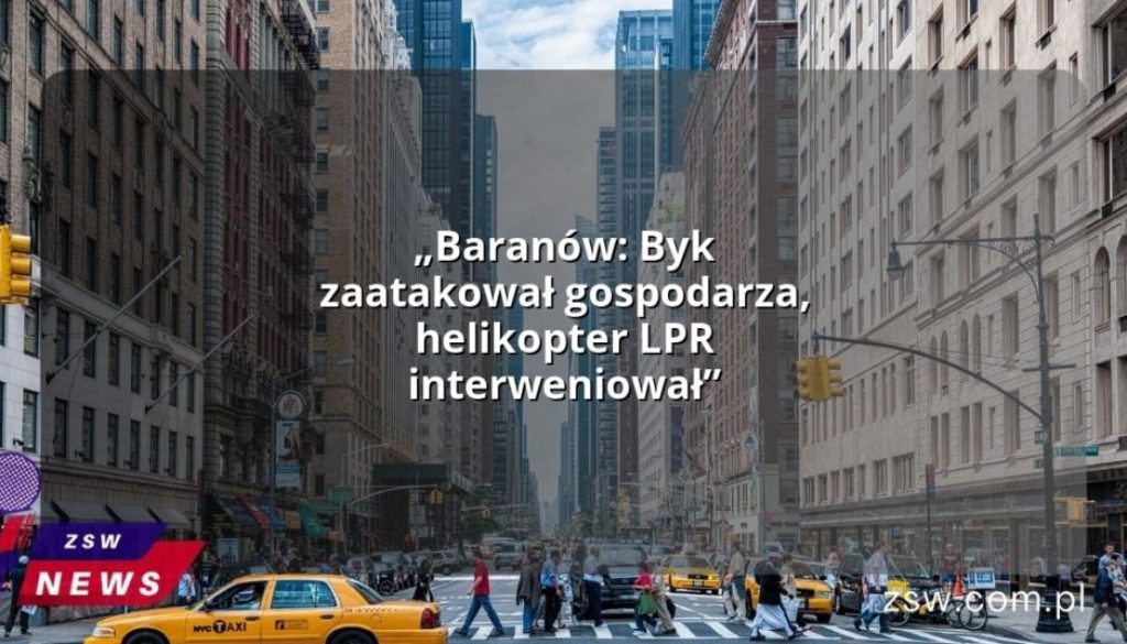 „Baranów: Byk zaatakował gospodarza, helikopter LPR interweniował”