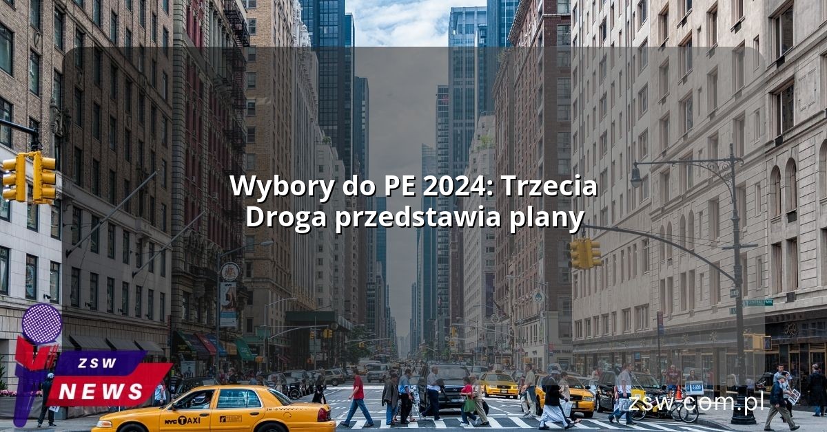 Wybory do PE 2024: Trzecia Droga przedstawia plany