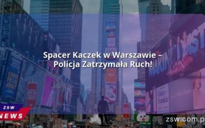 Spacer Kaczek w Warszawie – Policja Zatrzymała Ruch!