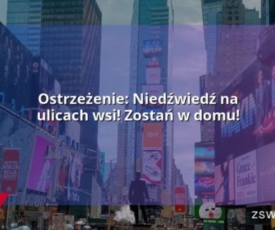 Ostrzeżenie: Niedźwiedź na ulicach wsi! Zostań w domu!