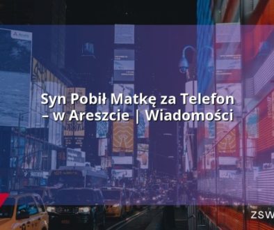 Syn Pobił Matkę za Telefon – w Areszcie | Wiadomości