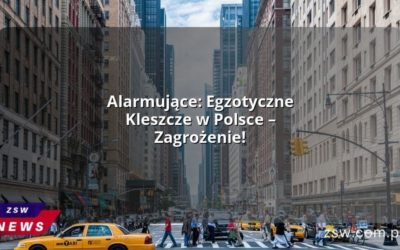 Alarmujące: Egzotyczne Kleszcze w Polsce – Zagrożenie!