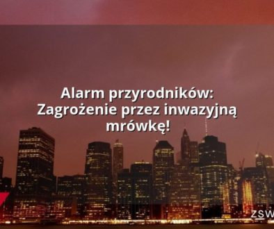 Alarm przyrodników: Zagrożenie przez inwazyjną mrówkę!