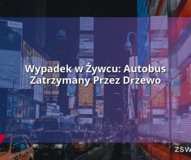 Wypadek w Żywcu: Autobus Zatrzymany Przez Drzewo